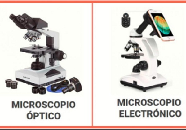 microscopio electrónico